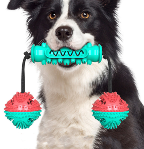 Chew & Clean – Durable Rubber Bone Toy For Healthy Teeth and Happy Pets