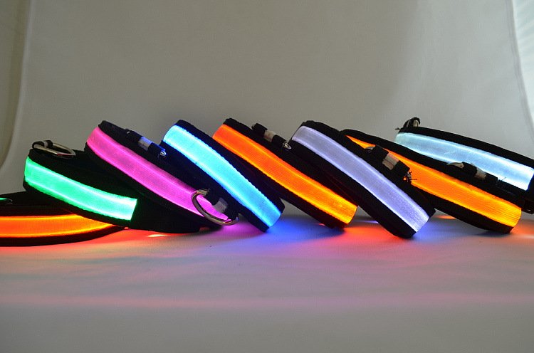 Shine Bright, Stay Safe – LED Light-Up Dog Collar for Ultimate Visibility