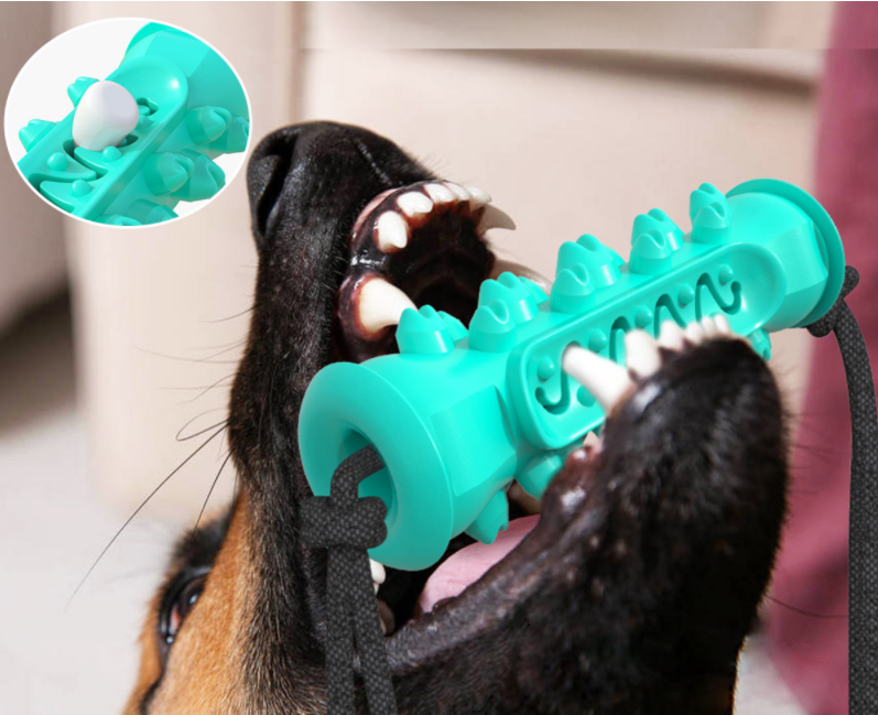 Chew & Clean – Durable Rubber Bone Toy For Healthy Teeth and Happy Pets