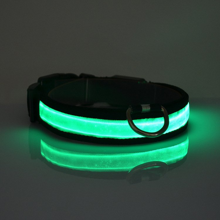 Shine Bright, Stay Safe – LED Light-Up Dog Collar for Ultimate Visibility