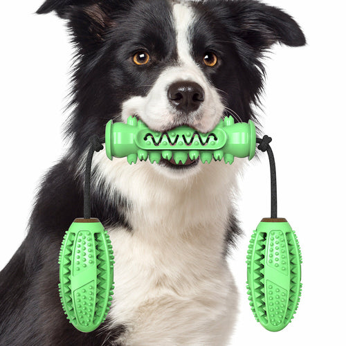 Chew & Clean – Durable Rubber Bone Toy For Healthy Teeth and Happy Pets