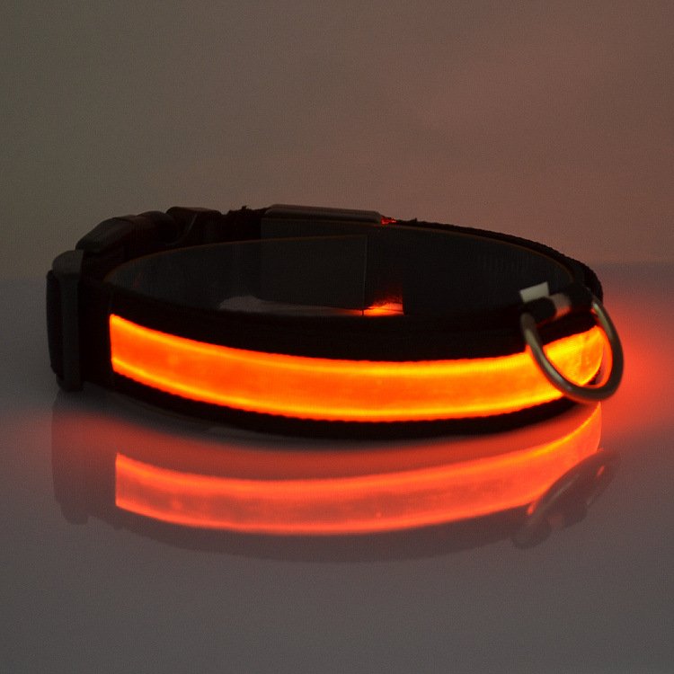 Shine Bright, Stay Safe – LED Light-Up Dog Collar for Ultimate Visibility