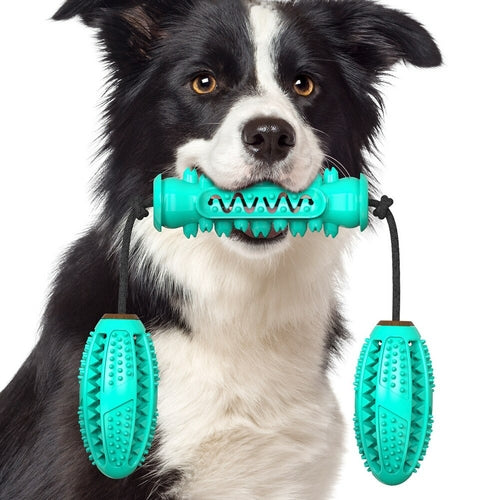 Chew & Clean – Durable Rubber Bone Toy For Healthy Teeth and Happy Pets