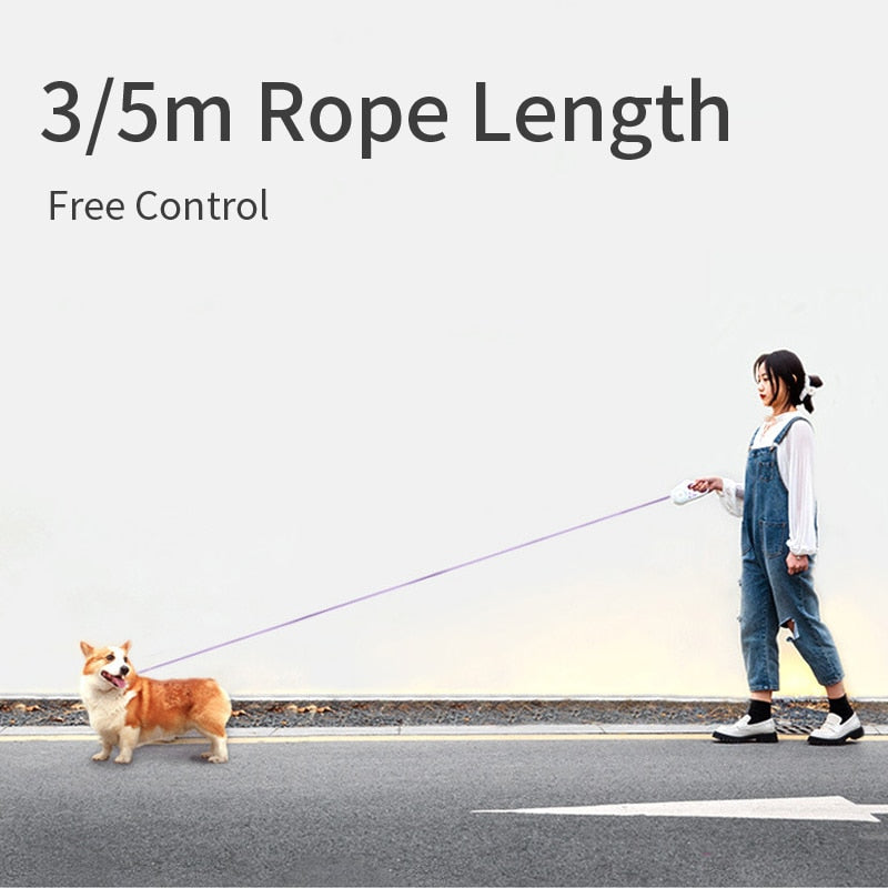 Walk with Ease – Automatic Retractable Dog Leash with Built-In Light!