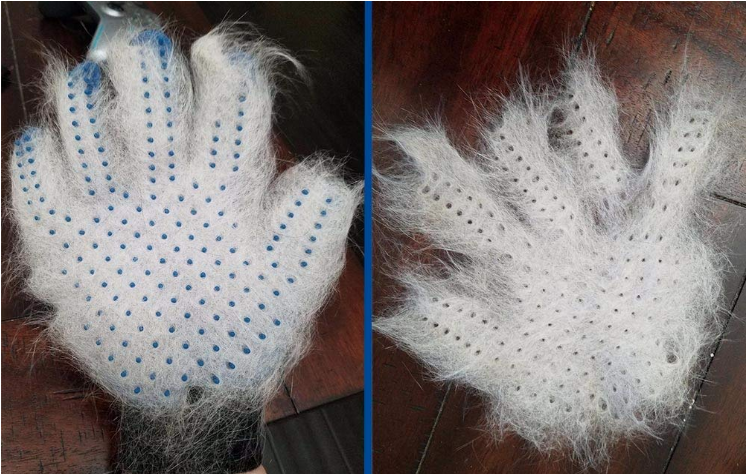 Pamper Your Pet – Gentle Pet Grooming Glove for a Smooth, Shiny Coat