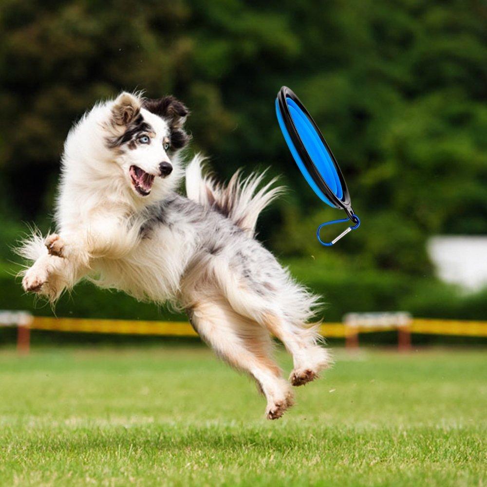 Hydrate & Nourish On the Go – The Ultimate Dog Water Bottle with Built-In Snack Storage!